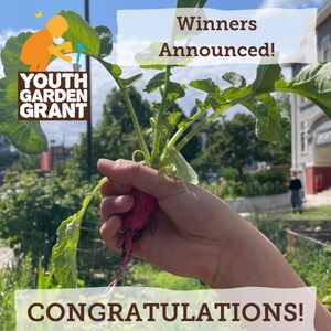 Image post by @kidsgardening on Instagram