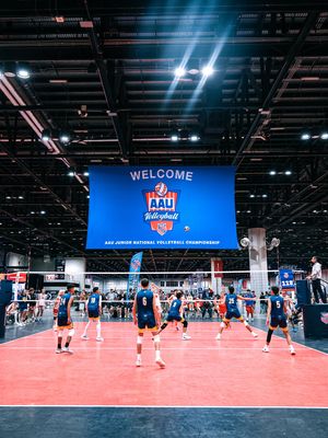 Image post by @aauvolleyball on Instagram