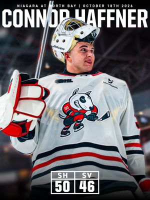 Image post by @ohlicedogs on Instagram