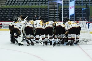 Image post by @womenshockeyasu on Instagram