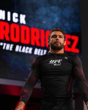 Image post by @ufcbjj on Instagram