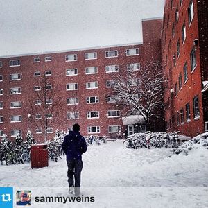Image post by @kansasstateuniversity on Instagram