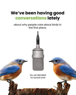 Image post by @featherfriendly on Instagram