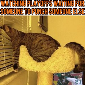 Image post by @hockeyfights on Instagram