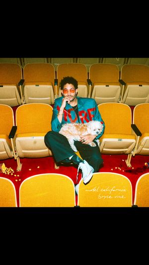 Video post by @brycevine on TikTok