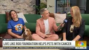 Video post by @livelikeroofoundation on YouTube