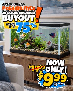 Image post by @biglots on Instagram