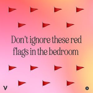 Image post by @vush_official on Instagram