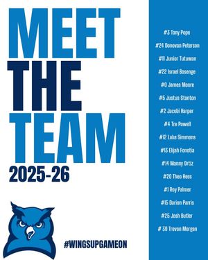 Image post by @fightingowlsmbb on Instagram