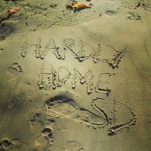 Image post by @hardlyhome on Instagram