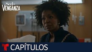 Video post by @telemundo on YouTube