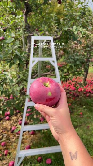 Video post by @morgan.exploring on TikTok