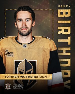 Image post by @vegasgoldenknights on Instagram