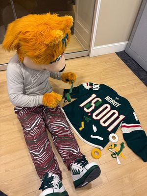 Image post by @nordywild on Instagram