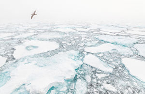 Image post by @natgeo on Instagram