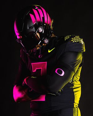 Image post by @goducks on Instagram