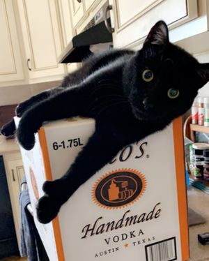 Image post by @titosvodka on Instagram