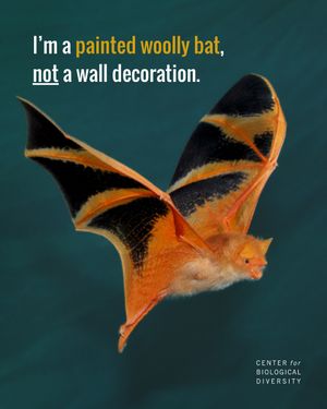 Image post by @centerforbiodiv on Instagram