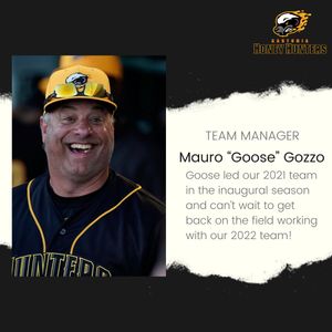 Image post by @gohoneyhunters on Twitter