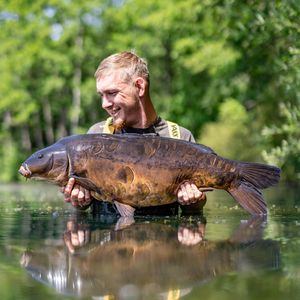 Image post by @brothercarp on Instagram
