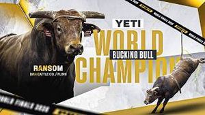 Video post by @pbr on YouTube