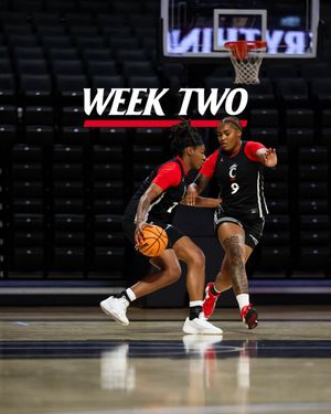Image post by @gobearcatswbb on Instagram