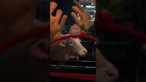 Video post by @pbr on YouTube