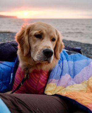 Image post by @gorumpl on Instagram