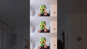 Video post by @duolingo on YouTube