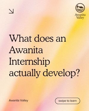 Image post by @awanitavalley on Instagram