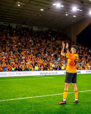Image post by @wolves on Instagram