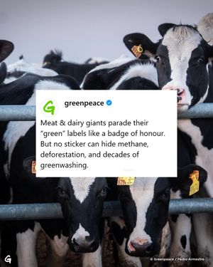 Image post by @greenpeace on Instagram
