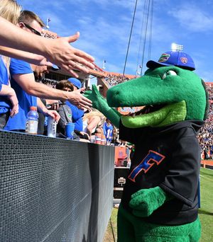 Image post by @albertthegator on Instagram