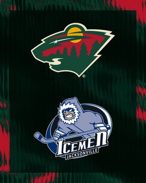 Image post by @minnesotawild on Instagram