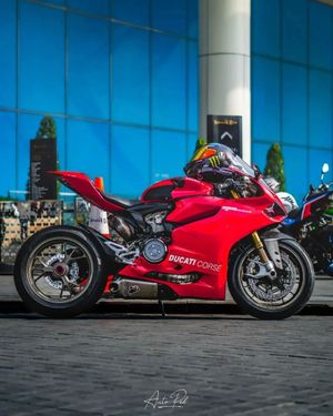 Image post by @panigalers on Instagram