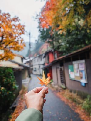 Image post by @everydayadventurefam on Instagram