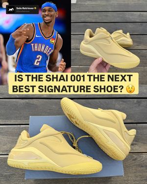 Image post by @soleretriever on Instagram