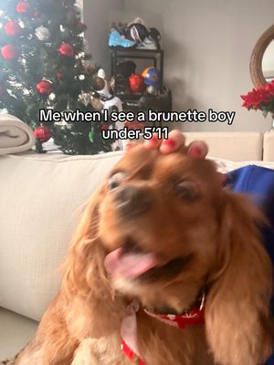 Video post by @overtimemegan on TikTok