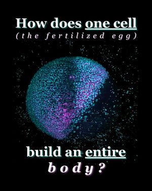 Image post by @biohub on Instagram