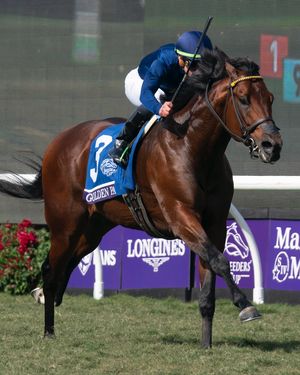 Image post by @coolmoreamerica on Instagram