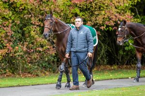 Image post by @juddmonte on Instagram