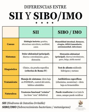 Image post by @ruben_nutricionyentrenamiento on Instagram