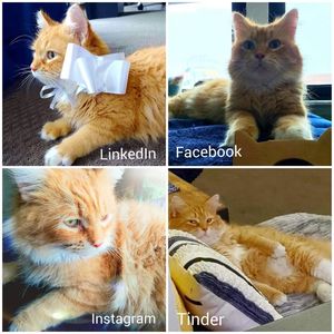 Image post by @GoodStewardConsulting on Facebook