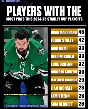 Image post by @hockeyfights on Instagram