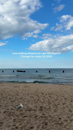 Video post by @smartcitychicago on TikTok