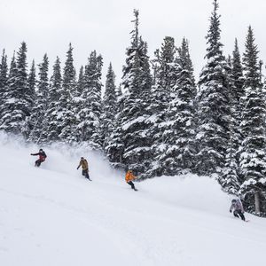 Image post by @whistlerblackcomb on Instagram