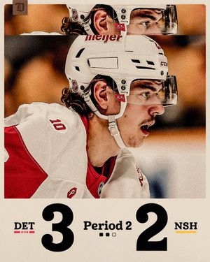 Image post by @DetroitRedWings on Twitter