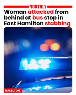 Image post by @northlyhamilton on Instagram