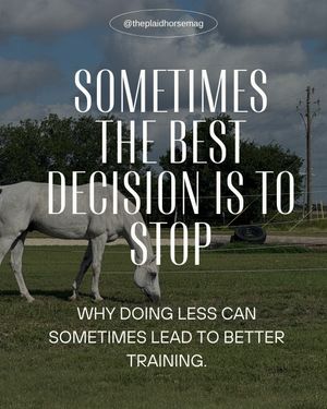 Image post by @theplaidhorsemag on Instagram