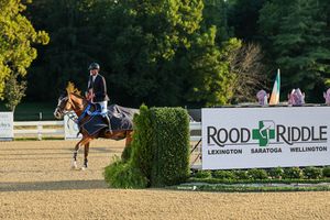 Image post by @kyhorseshows on Instagram